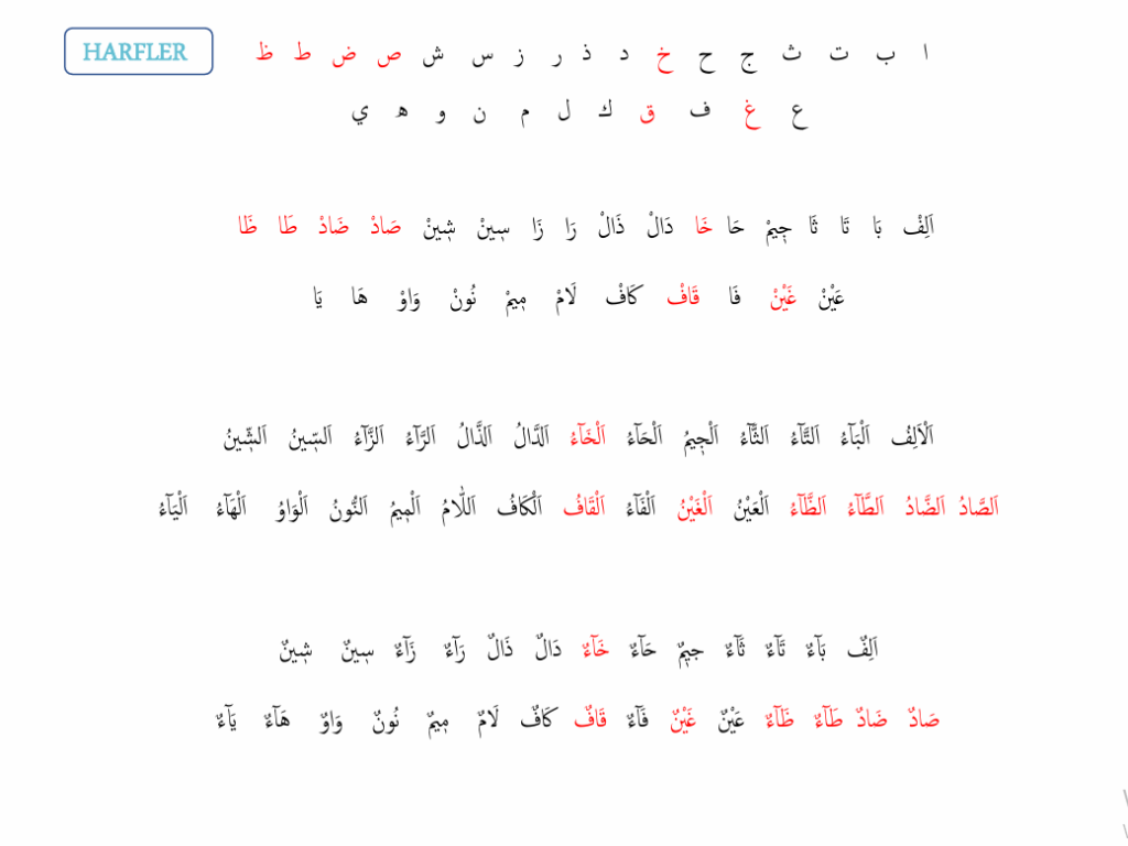 2-11-1024x768 https://fcr.com.tr/koca-tecvid-2/